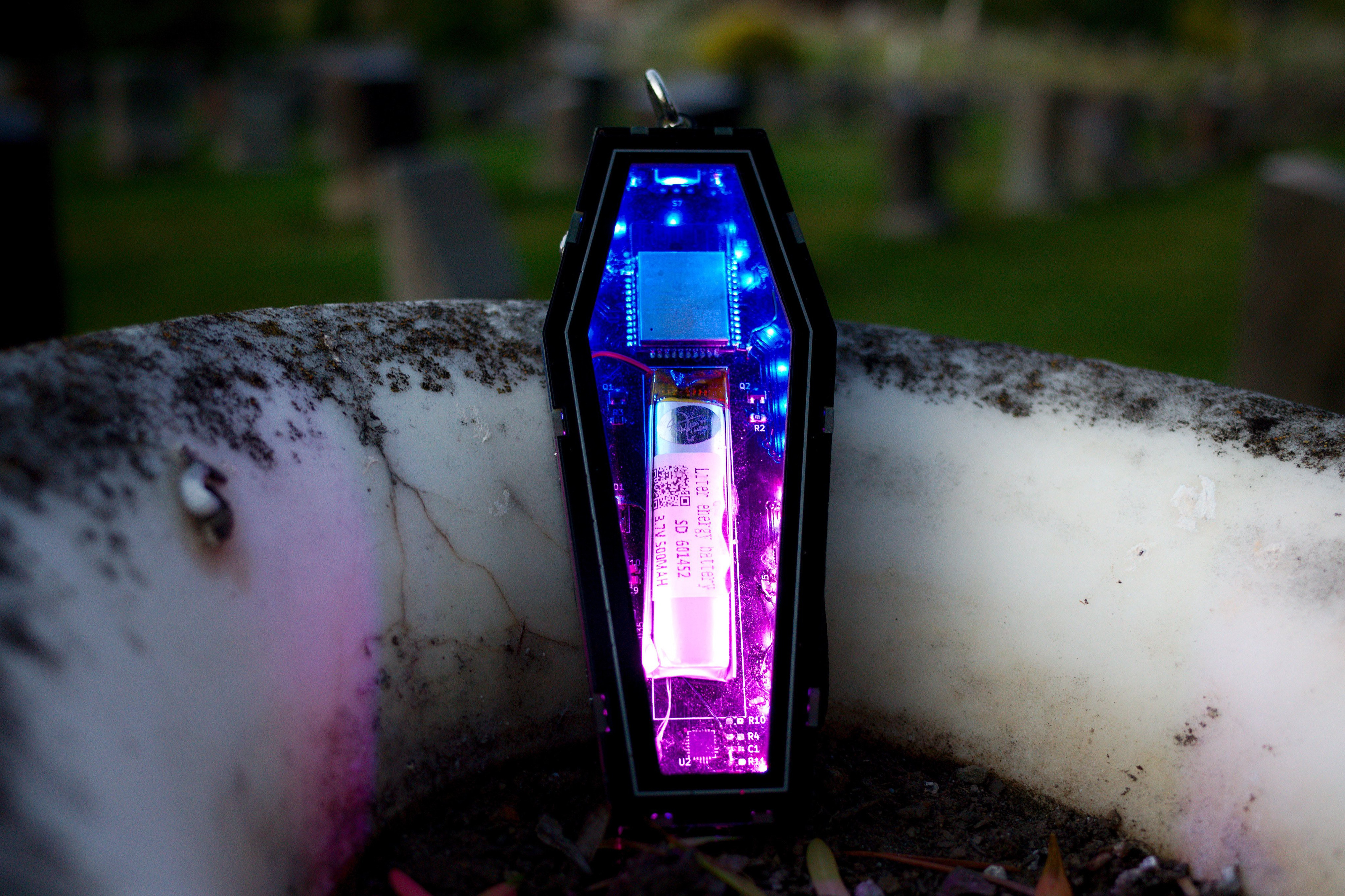 A Final Resting Place for your Batteries The Cacoffiny